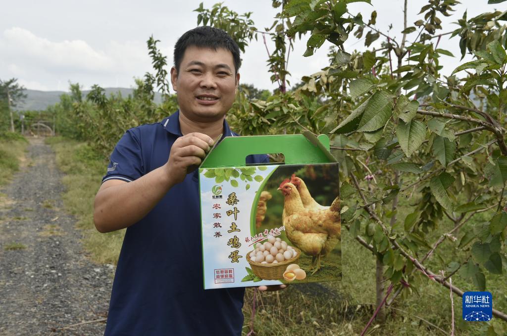 我是皇易乐游